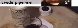 Piperine For Vitiligo Treatmen